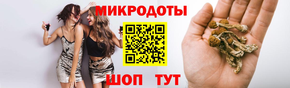 Новочеркасск  Псилоцибиновые грибы мицелий  Вход с VPN 